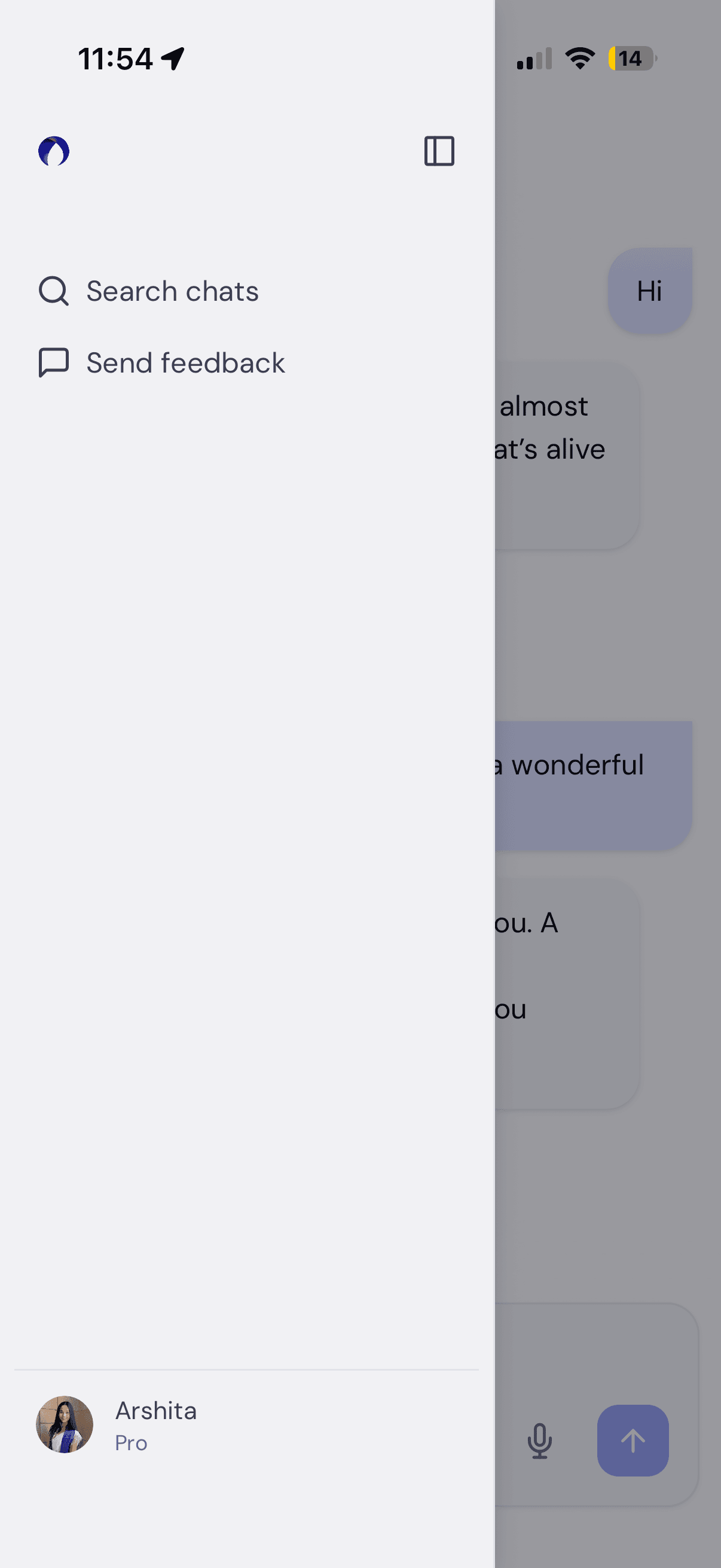 Mobile sidebar flyout with search chats, send feedback, and the user profile pinned at the bottom.